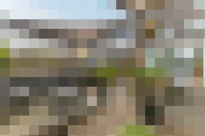 Calveslo 20 Kudelstaart thumbnail 5