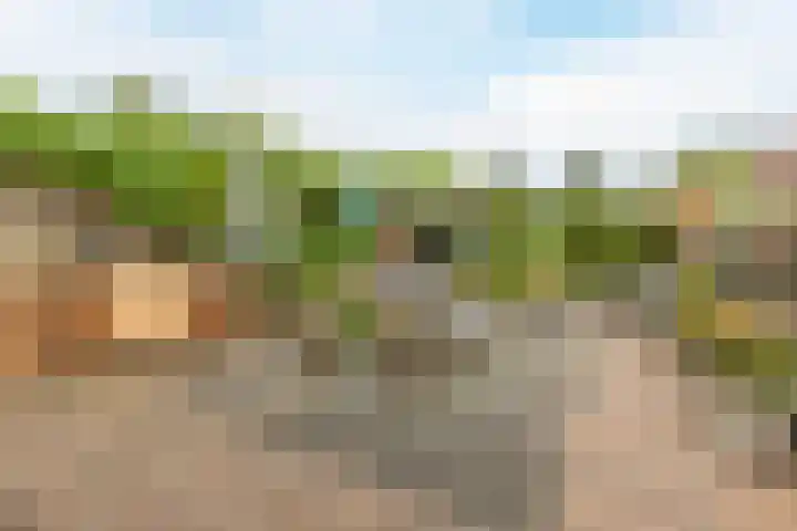 Calveslo 20 Kudelstaart thumbnail 51