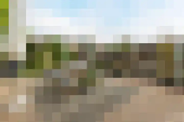 Calveslo 20 Kudelstaart thumbnail 52