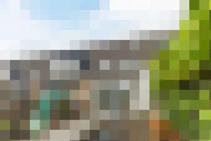 Calveslo 20 Kudelstaart thumbnail 53