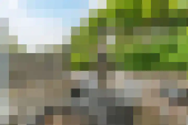 Calveslo 20 Kudelstaart thumbnail 54