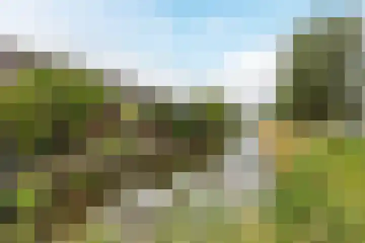 Calveslo 20 Kudelstaart thumbnail 56
