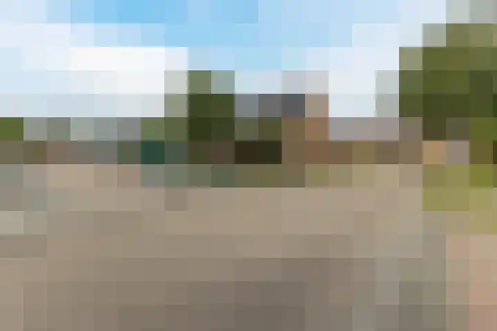 Calveslo 20 Kudelstaart thumbnail 57