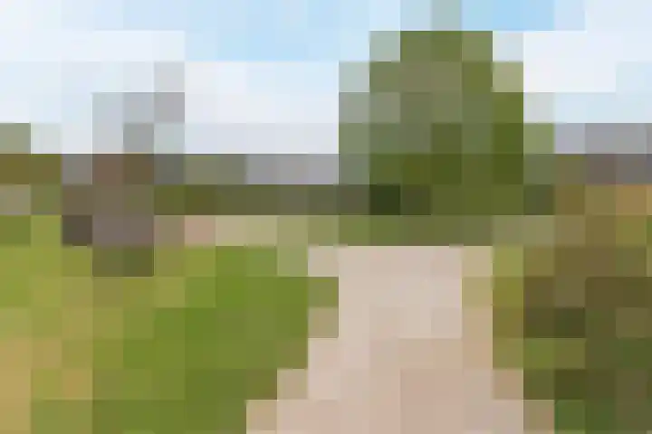 Calveslo 20 Kudelstaart thumbnail 58