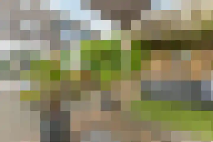 Calveslo 20 Kudelstaart thumbnail 9
