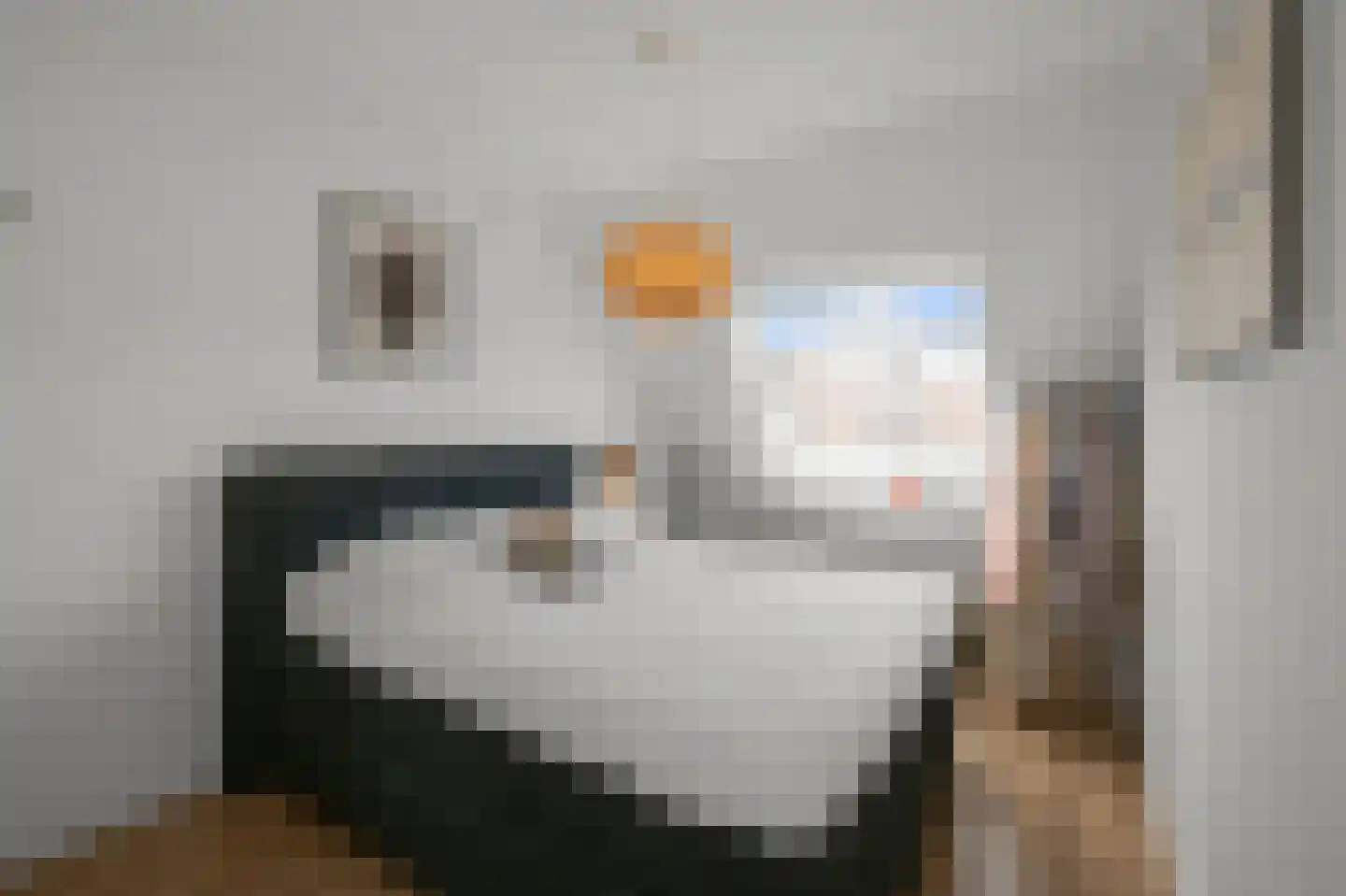 Calveslo 8 Kudelstaart thumbnail 14
