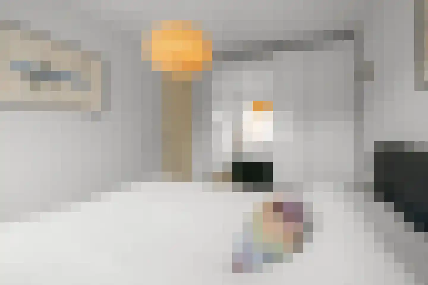 Calveslo 8 Kudelstaart thumbnail 15