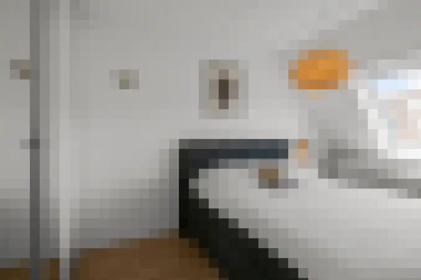 Calveslo 8 Kudelstaart thumbnail 16