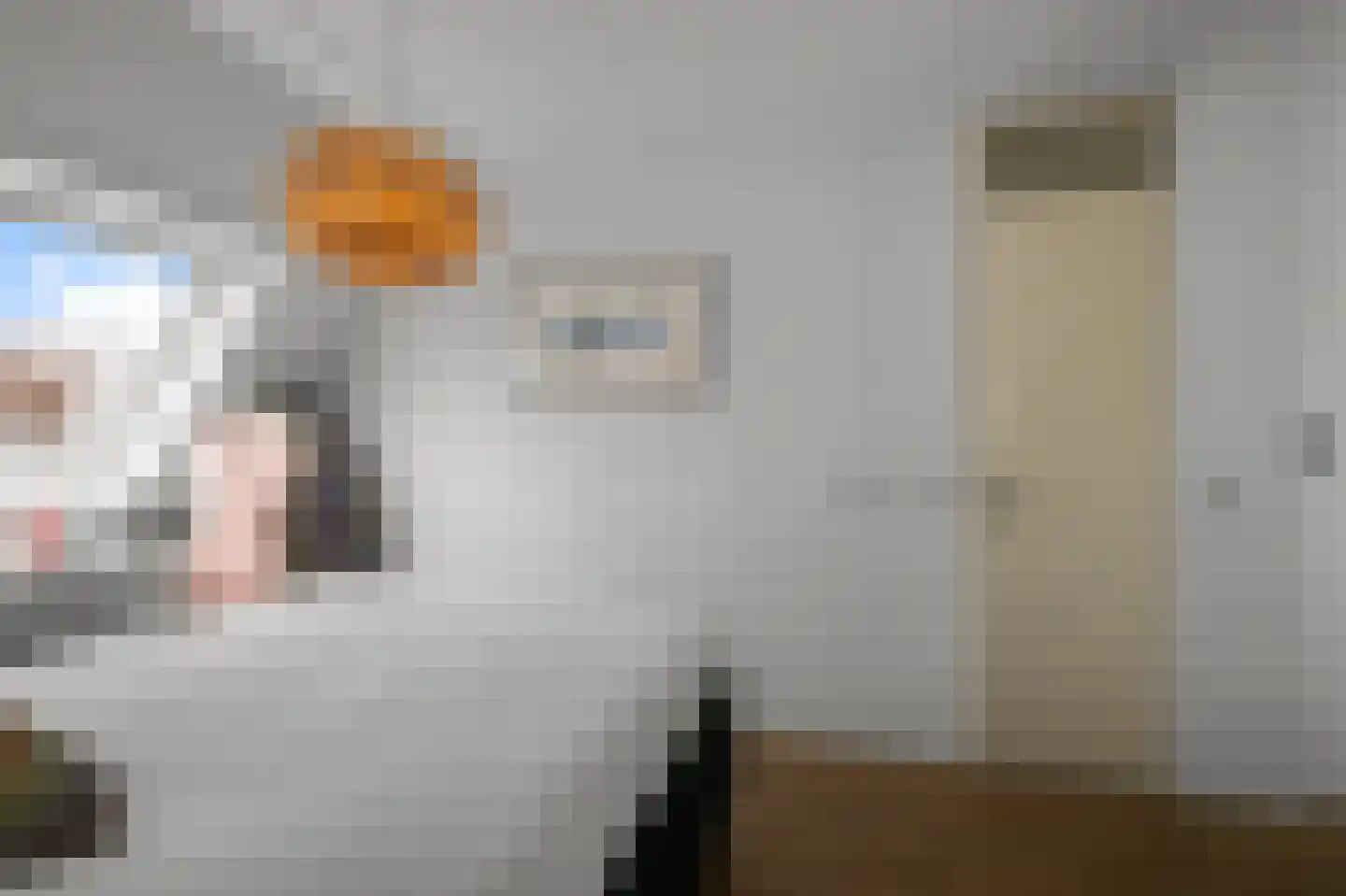 Calveslo 8 Kudelstaart thumbnail 17