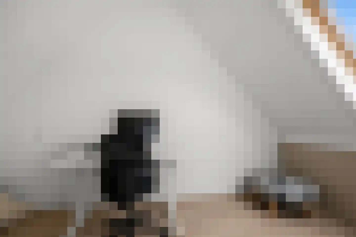 Calveslo 8 Kudelstaart thumbnail 31