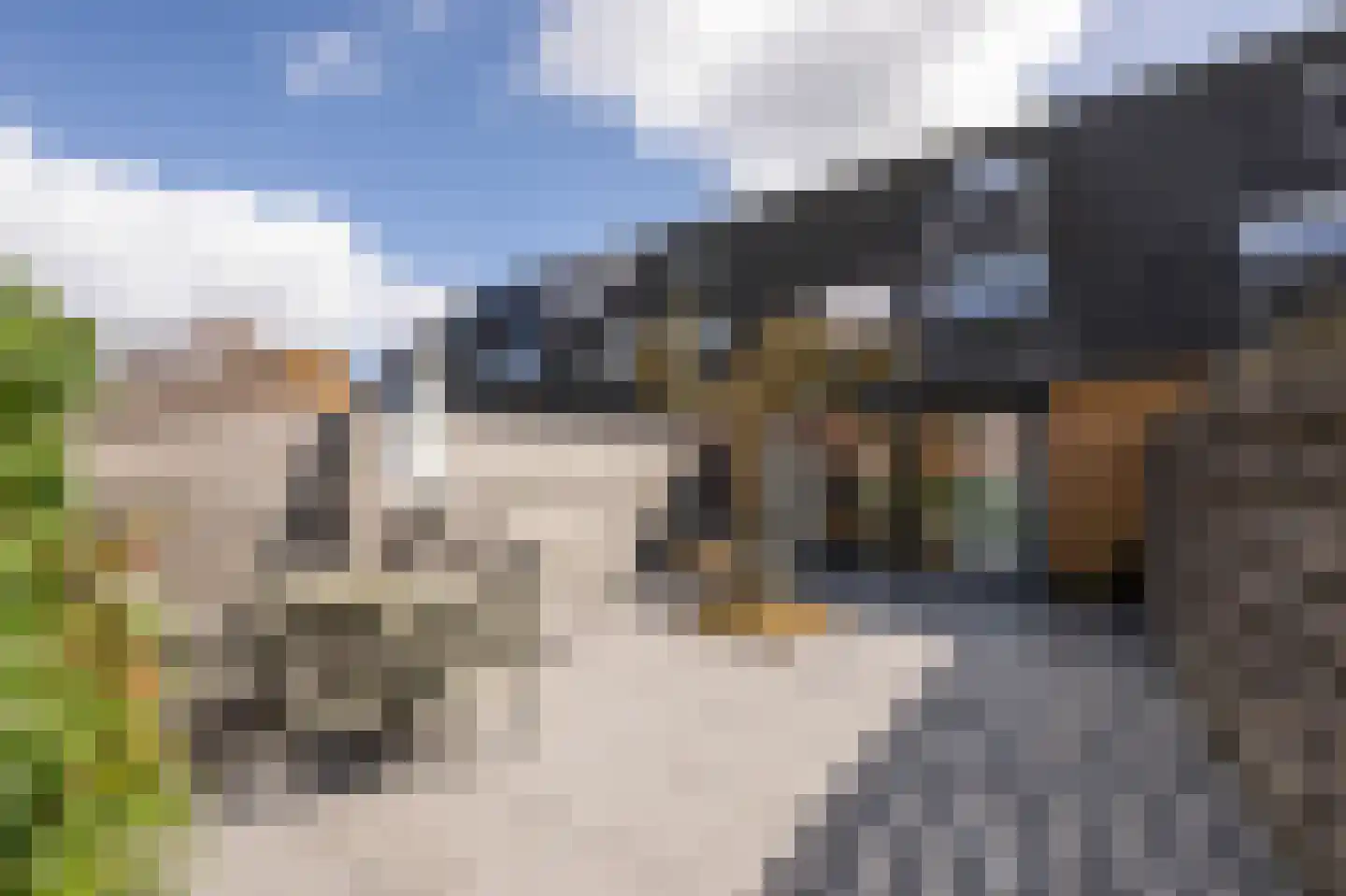 Calveslo 8 Kudelstaart thumbnail 32