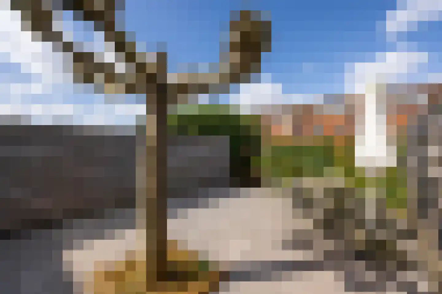 Calveslo 8 Kudelstaart thumbnail 34