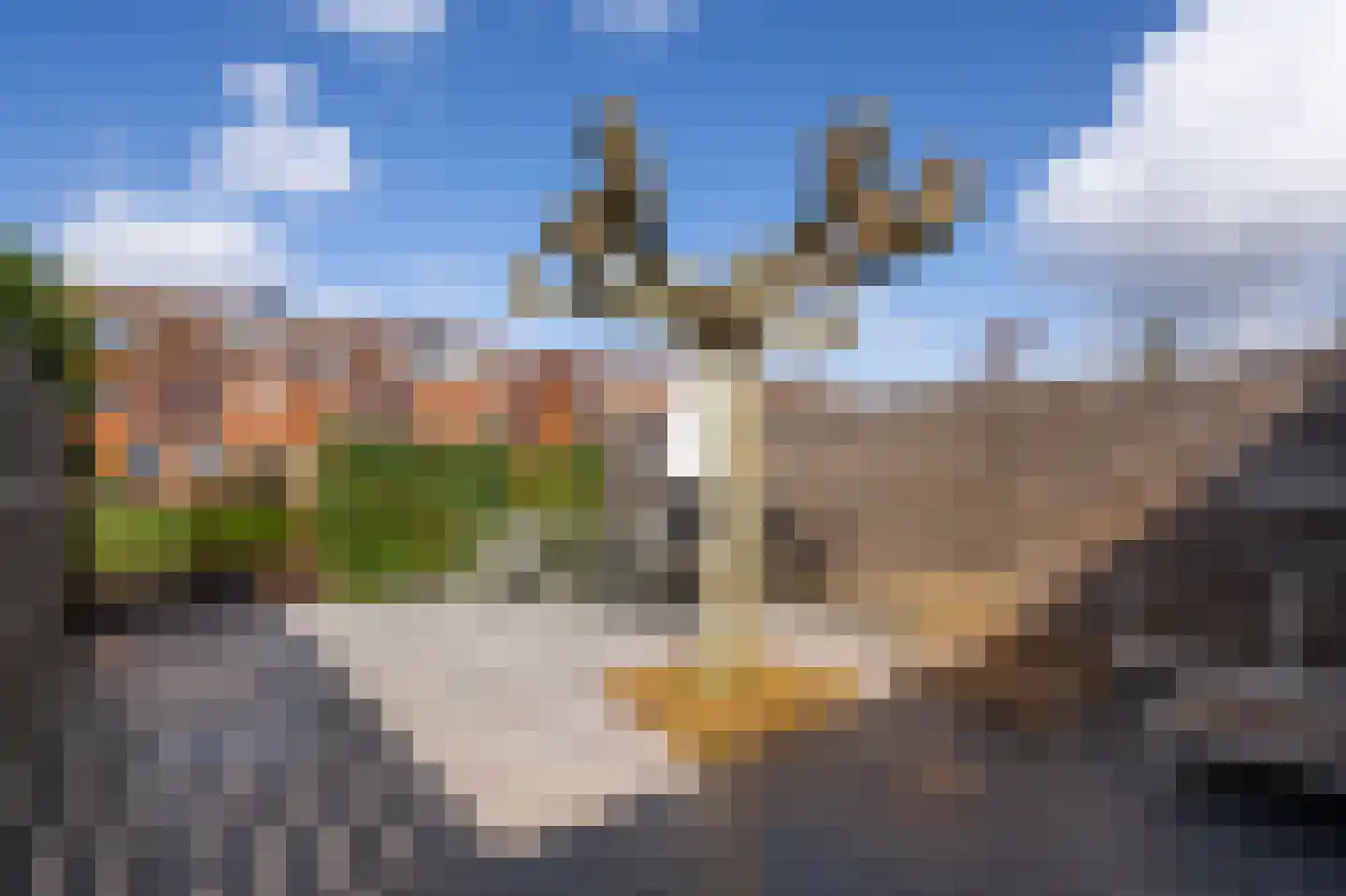 Calveslo 8 Kudelstaart thumbnail 35
