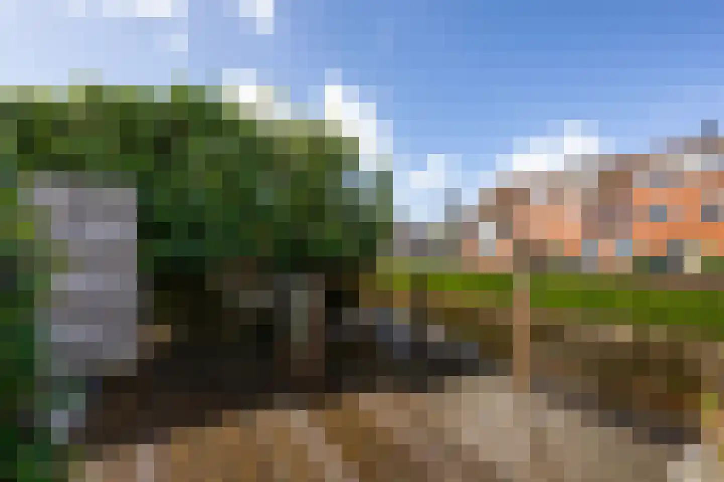 Calveslo 8 Kudelstaart thumbnail 36
