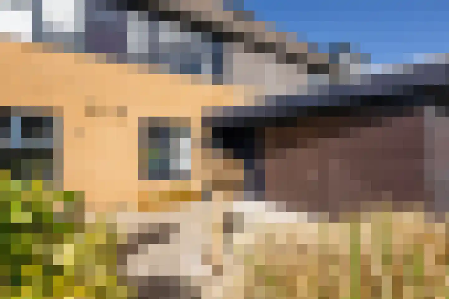 Calveslo 8 Kudelstaart thumbnail 38