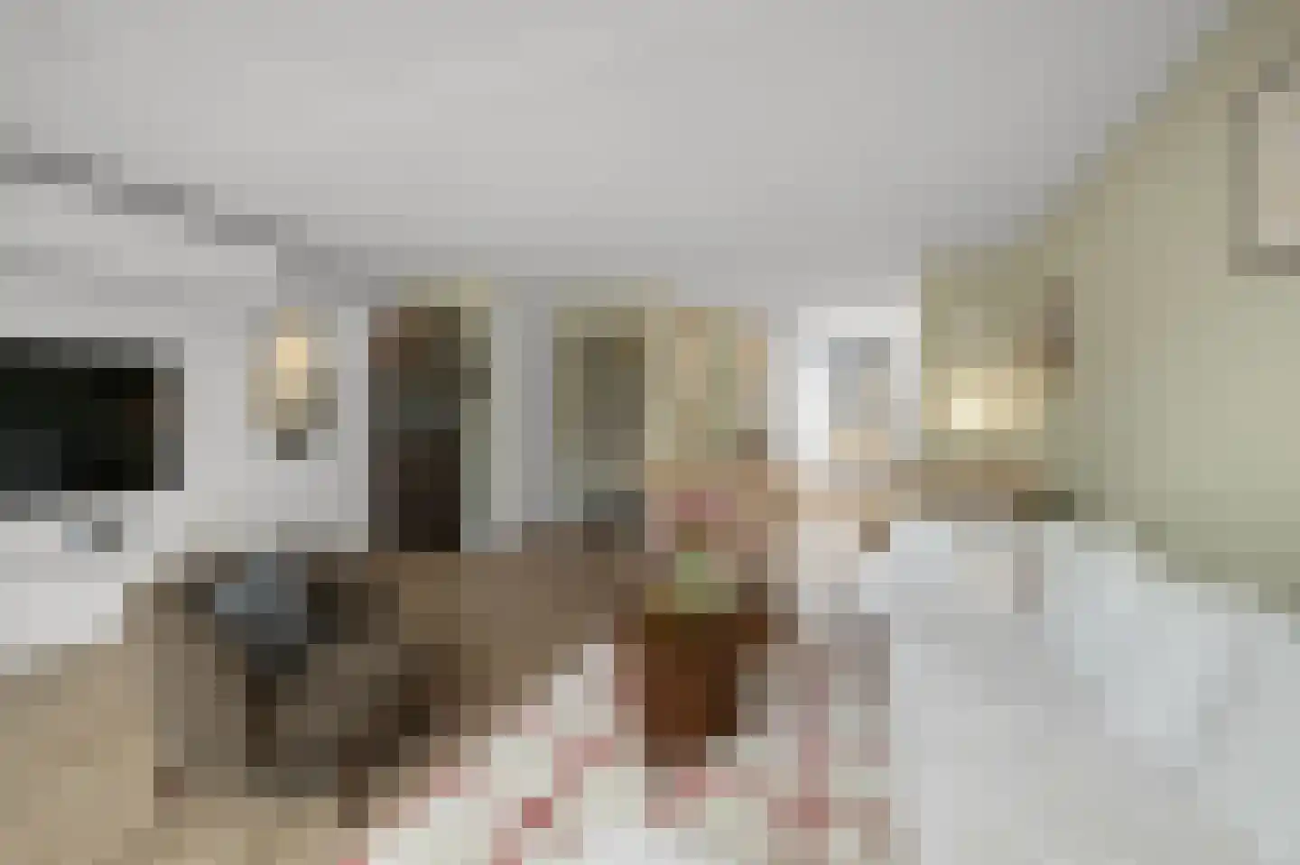 Calveslo 8 Kudelstaart thumbnail 4