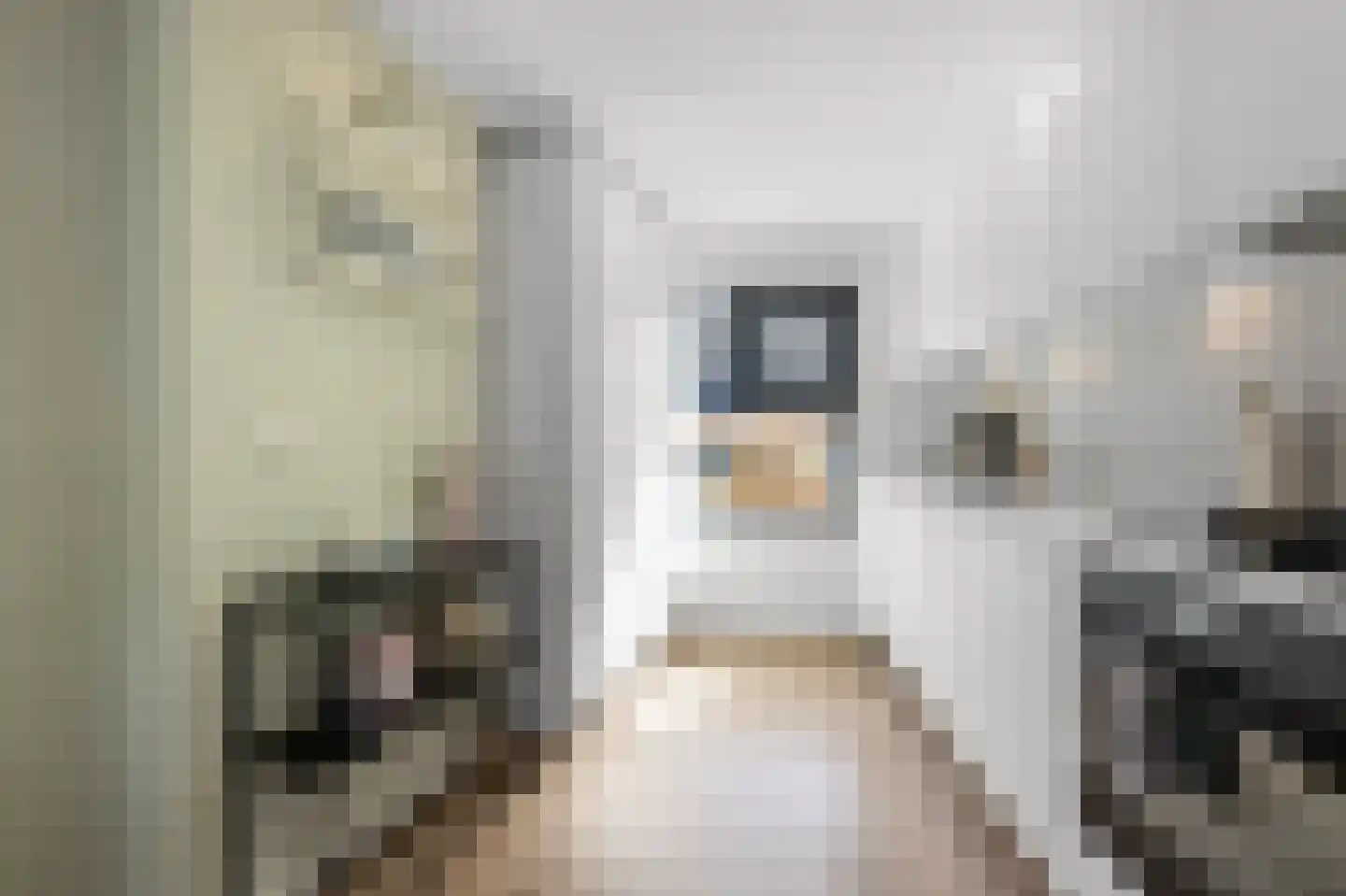 Calveslo 8 Kudelstaart thumbnail 6