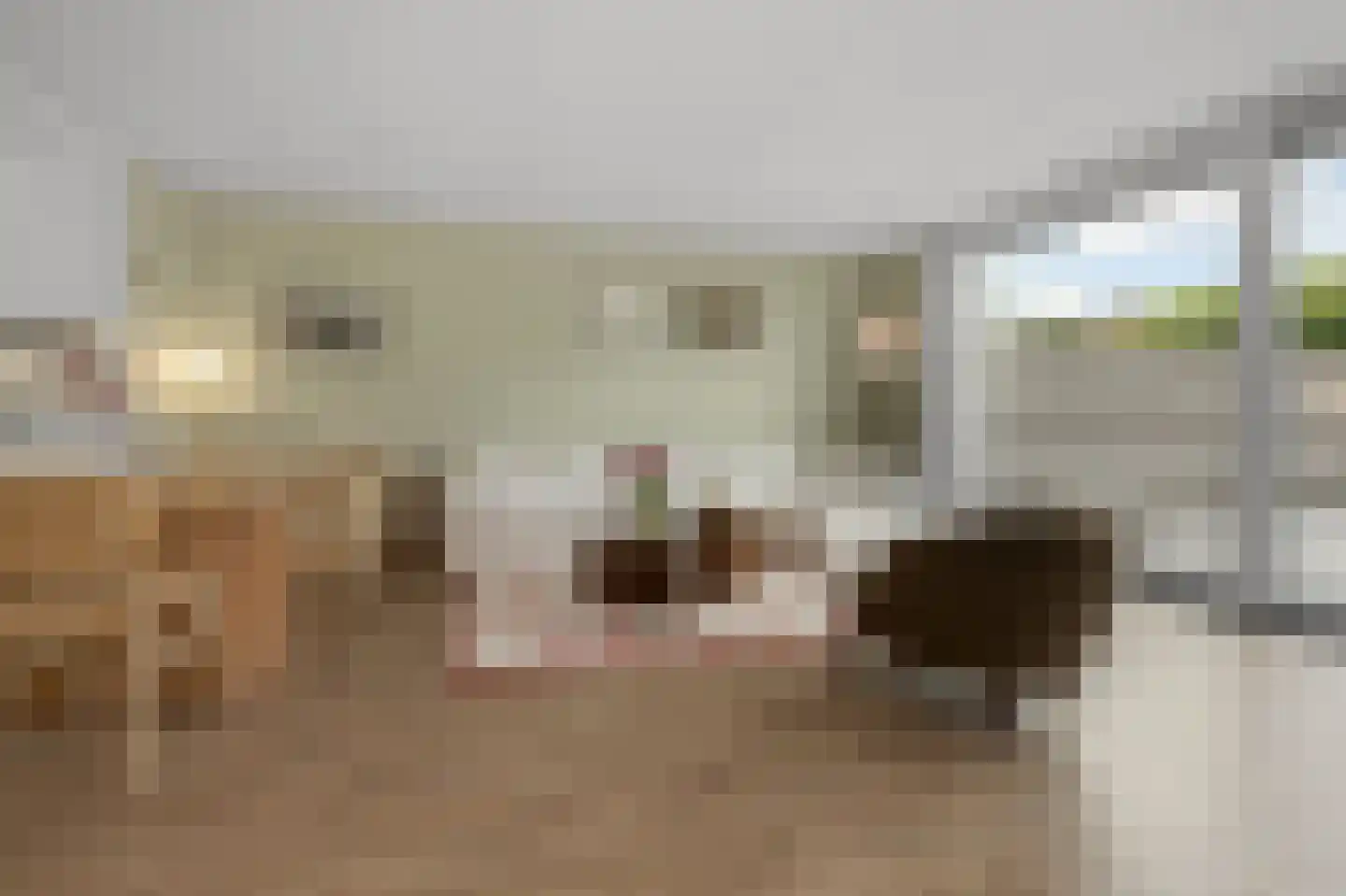Calveslo 8 Kudelstaart thumbnail 8