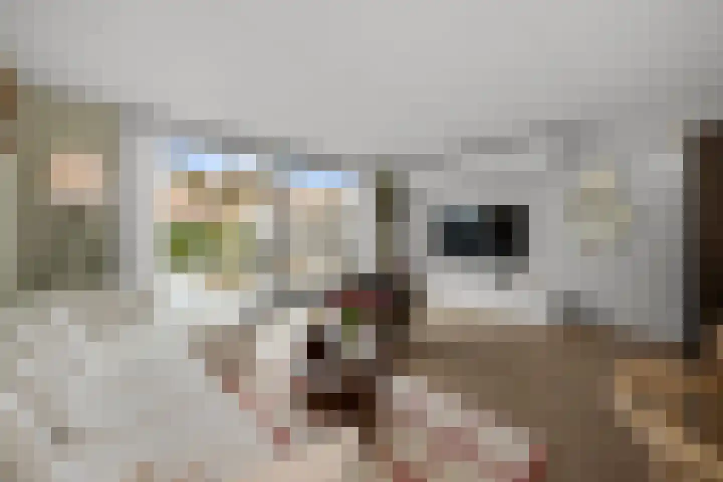 Calveslo 8 Kudelstaart thumbnail 9