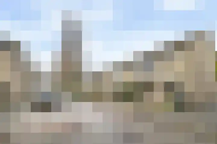 Calvijnhof 106 Hilversum thumbnail 26