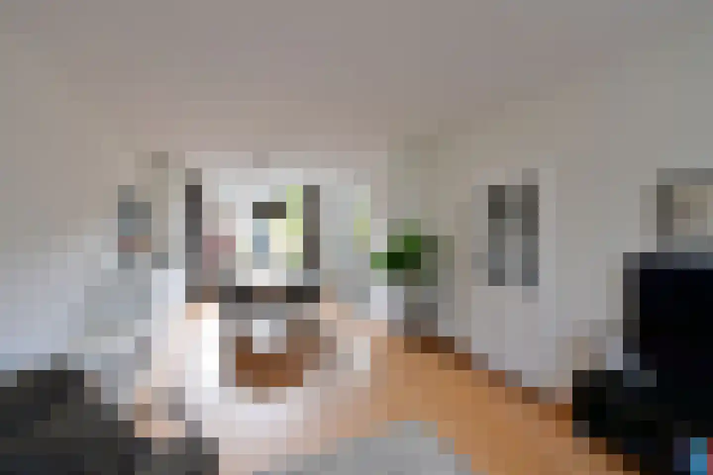 Calvijnhof 24 Hilversum thumbnail 6