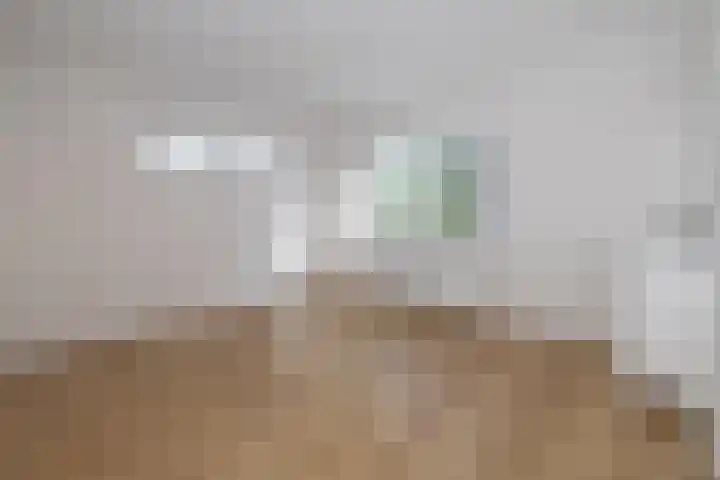 Calvijnhof 26 Hilversum thumbnail 17