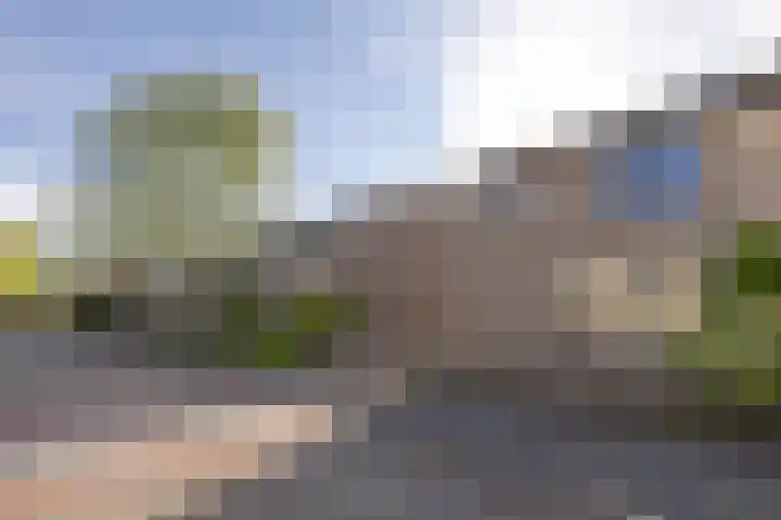 Calvijnhof 26 Hilversum foto 2