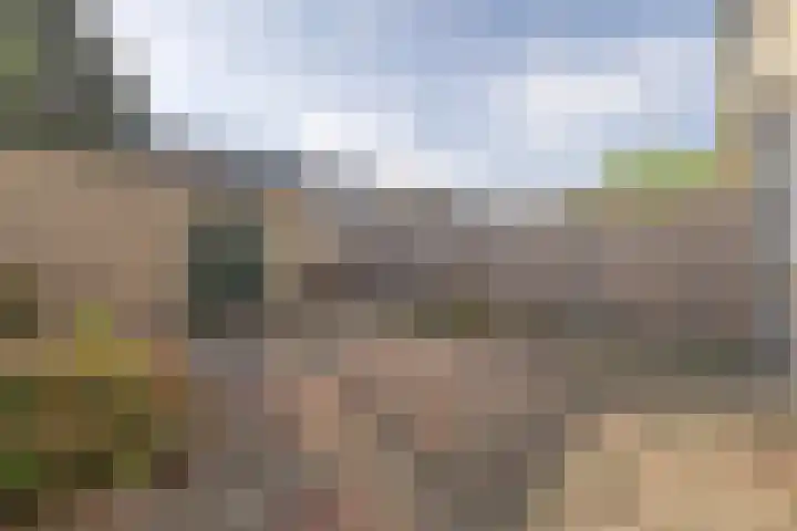 Calvijnhof 26 Hilversum thumbnail 24
