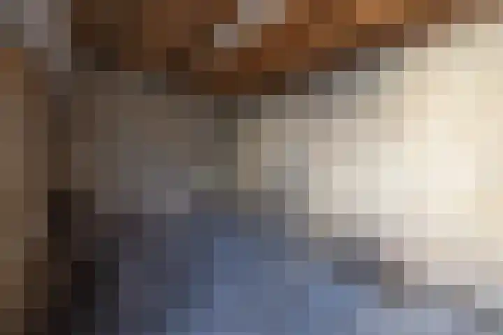 Calvijnhof 26 Hilversum thumbnail 25
