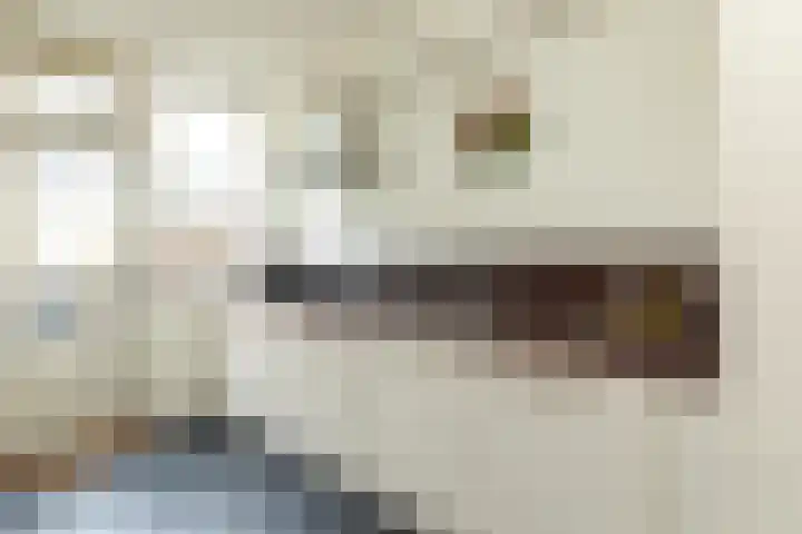 Calvijnhof 34 Hilversum thumbnail 11