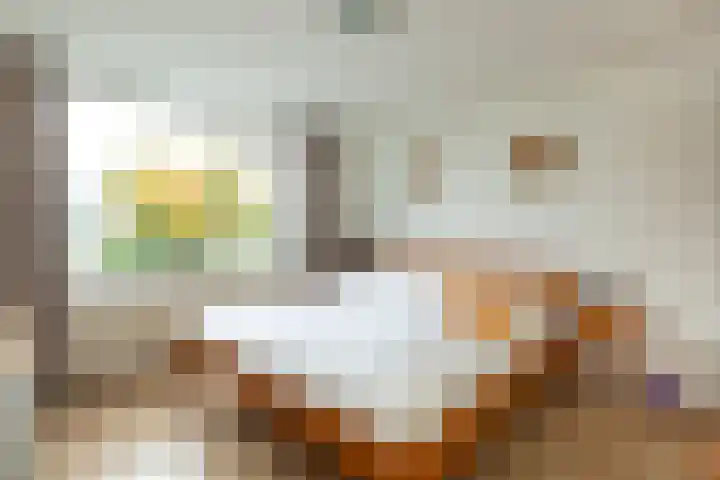 Calvijnhof 34 Hilversum thumbnail 13