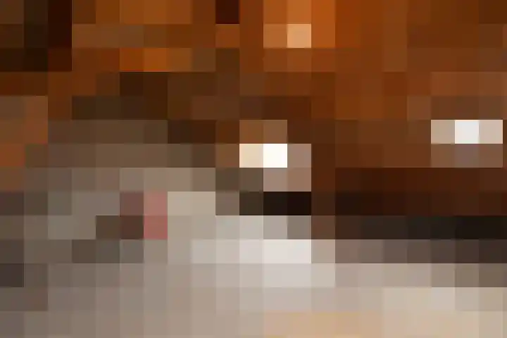 Calvijnhof 34 Hilversum thumbnail 20
