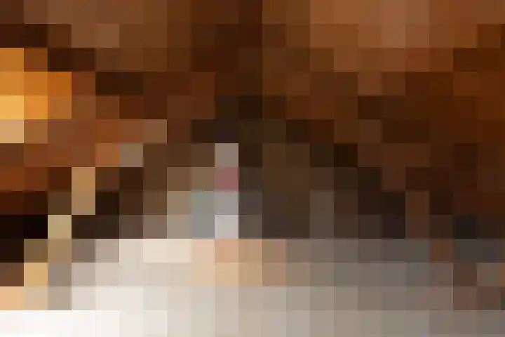 Calvijnhof 34 Hilversum thumbnail 21
