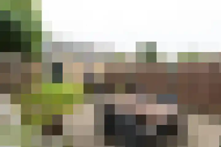 Calvijnhof 34 Hilversum thumbnail 23