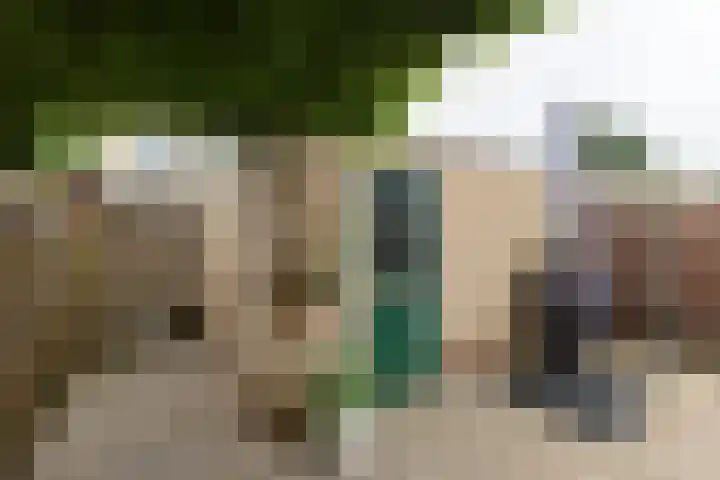 Calvijnhof 34 Hilversum thumbnail 25