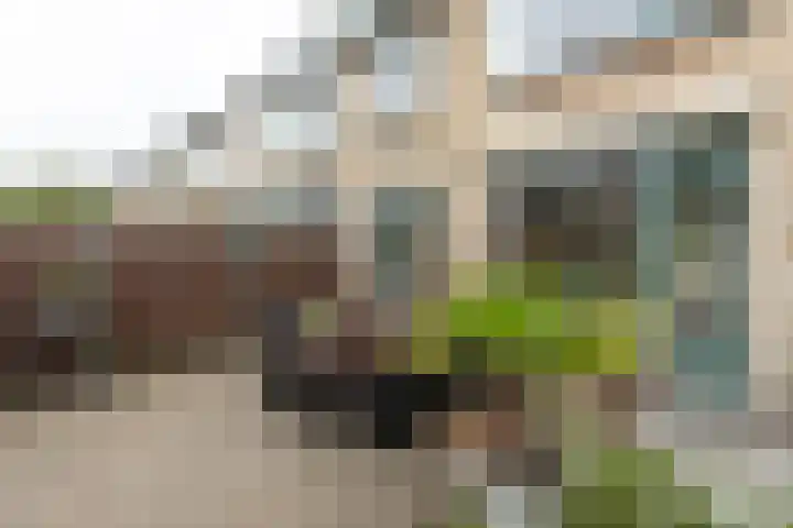 Calvijnhof 34 Hilversum thumbnail 26