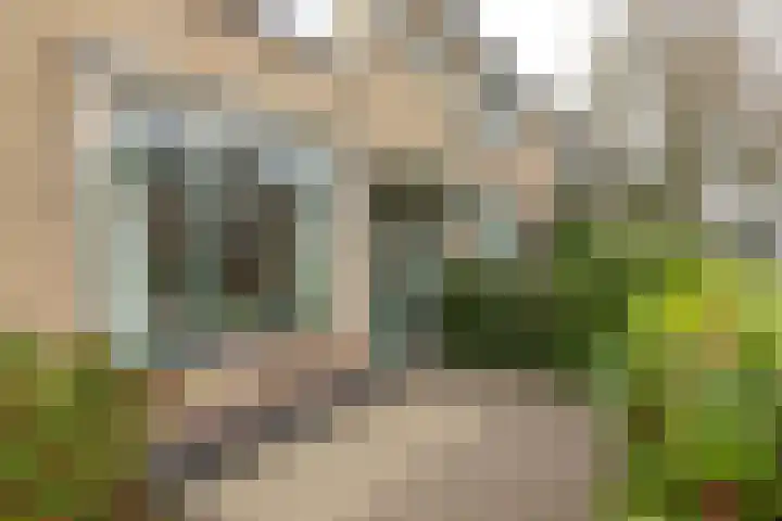 Calvijnhof 34 Hilversum thumbnail 5