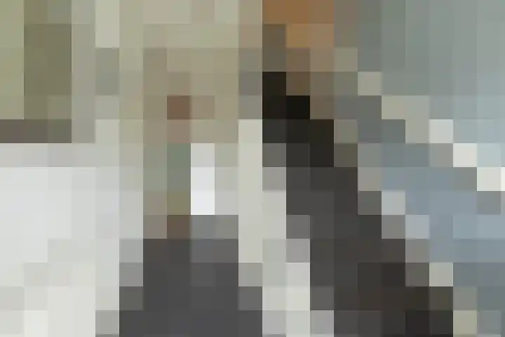 Calvijnhof 34 Hilversum thumbnail 6