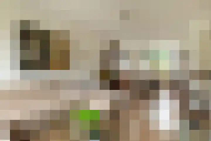 Calvijnhof 34 Hilversum thumbnail 7