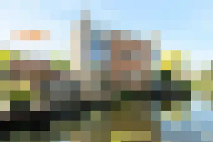 Calville 101 in Boskoop