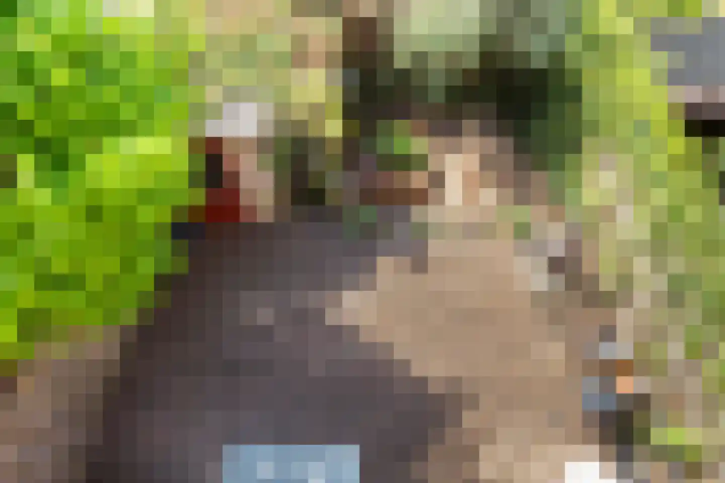 Calville 101 Boskoop thumbnail 34