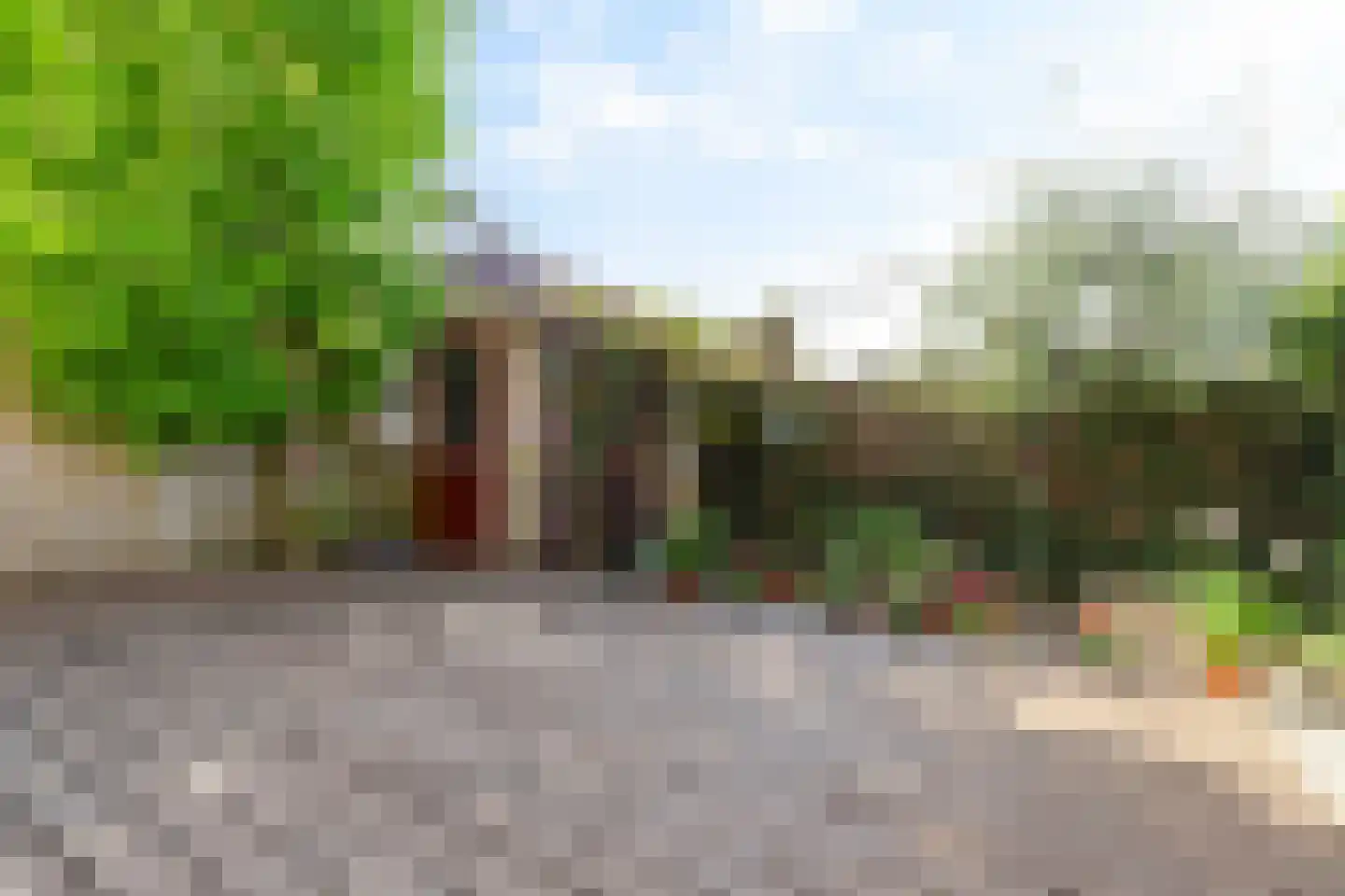 Calville 101 Boskoop thumbnail 35