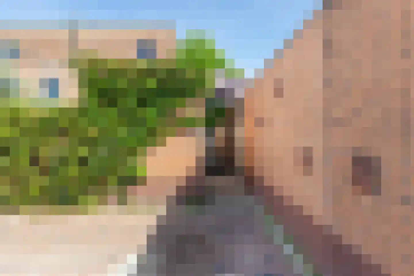Calville 101 Boskoop thumbnail 4