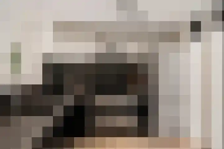 Calville 65 Boskoop thumbnail 10