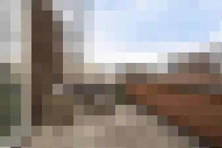 Calville 65 Boskoop thumbnail 28