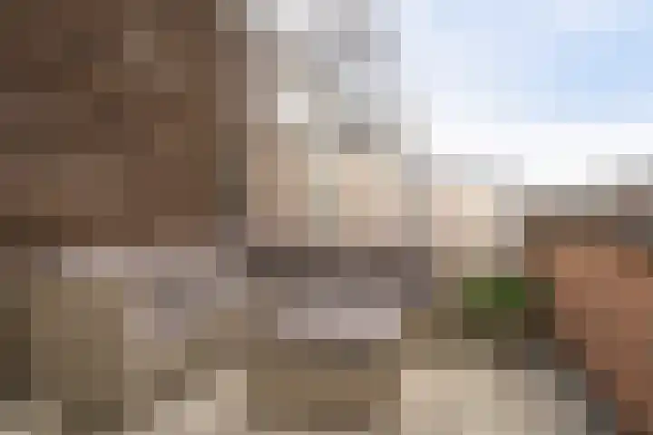 Calville 65 Boskoop thumbnail 29