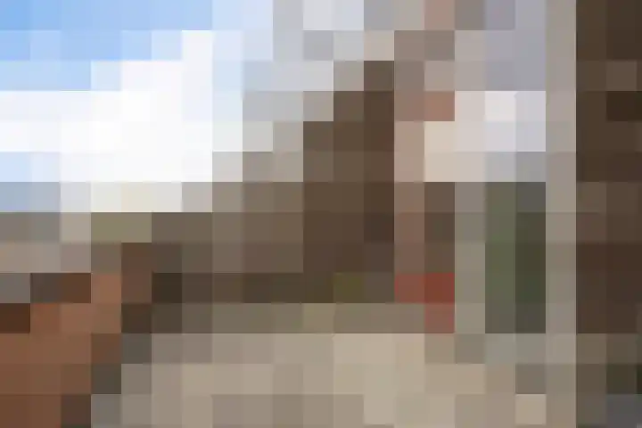 Calville 65 Boskoop thumbnail 31