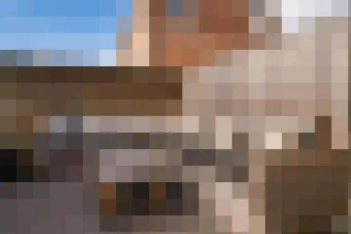 Calville 65 Boskoop thumbnail 32