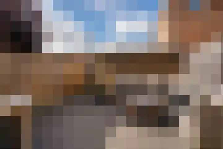 Calville 65 Boskoop thumbnail 33