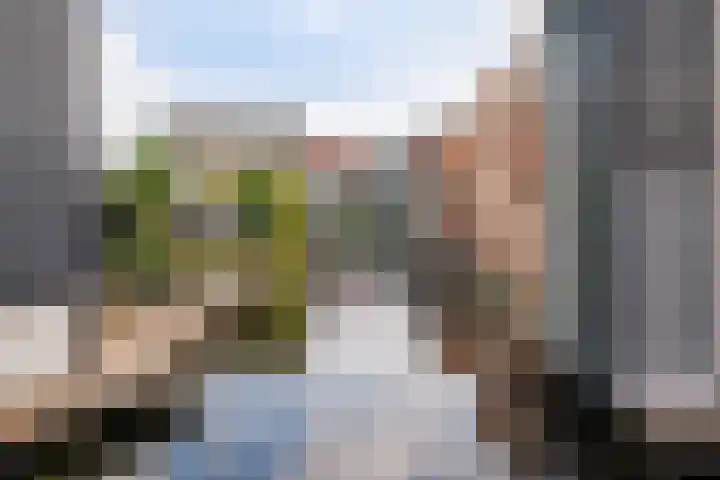 Calville 65 Boskoop thumbnail 36